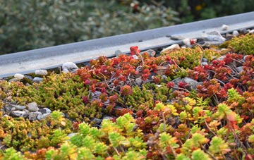 the cost of Invernaver green roof installation