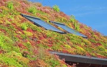 Invernaver living roof systems