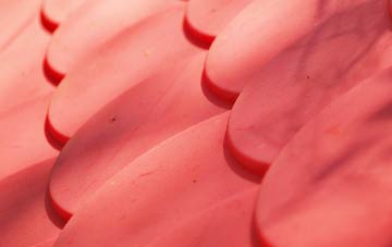 Invernaver plastic roof costs